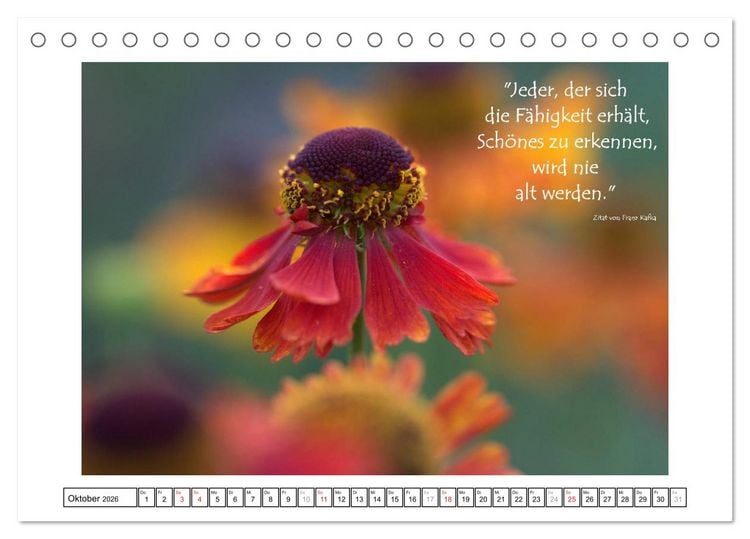 Produktbild: Zitate - Sammlung (Tischkalender 2026 DIN A5 quer), CALVENDO Monatskalender