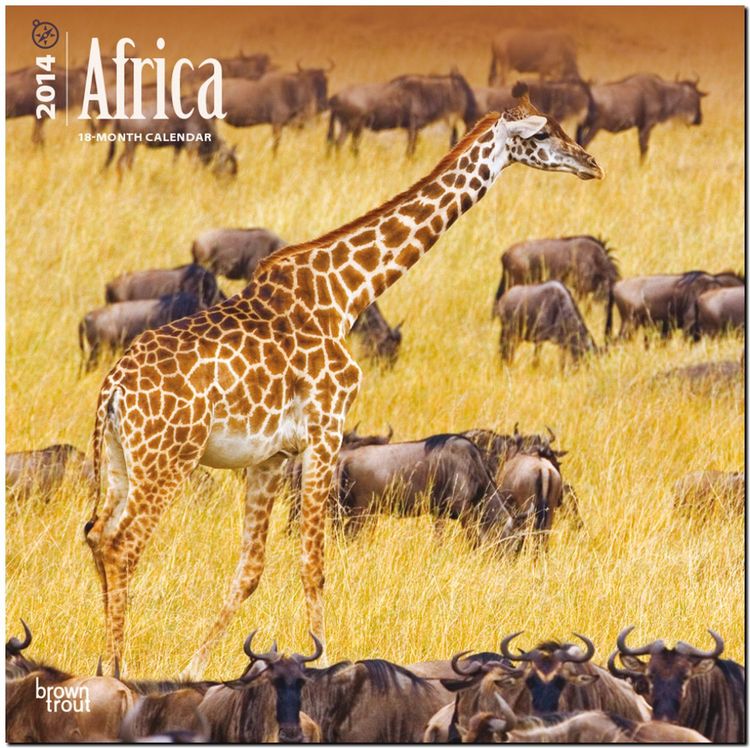 Produktbild: Africa Calendar