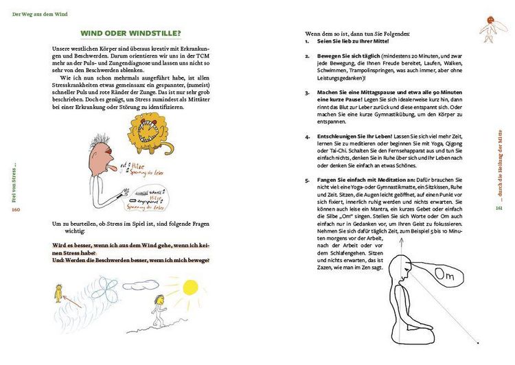 Produktbild: Frei von Stress durch die Heilung der Mitte