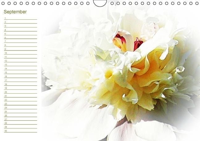 Produktbild: Bl&uuml;tentr&auml;ume - ganz in wei&szlig; / Geburtstagskalender (Wandkalender immerw&auml;hrend DIN A4 quer)
