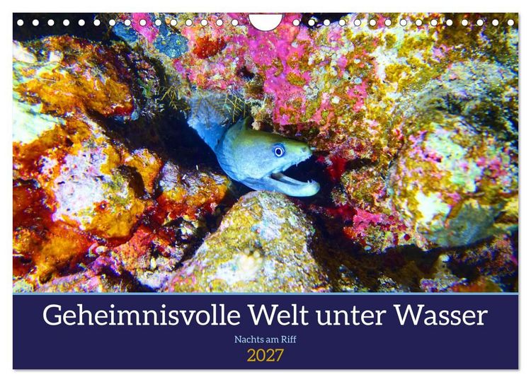 Produktbild: Geheimnisvolle Welt unter Wasser - Nachts am Riff (Wandkalender 2027 DIN A4 quer), CALVENDO Monatskalender