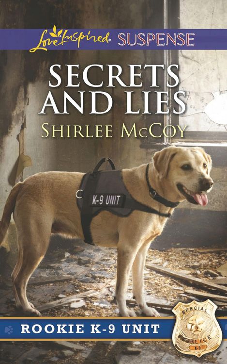Produktbild: Secrets And Lies