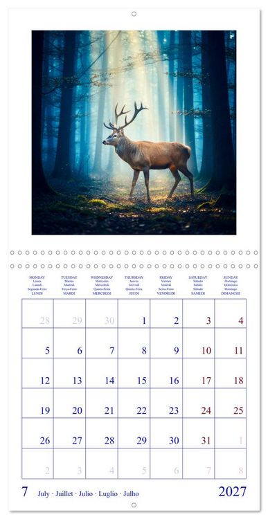 Produktbild: The Forest Fellowship (Wall Calendar 2027 12 &times; 12 Inch) CALVENDO 12 Month Wall Calendar