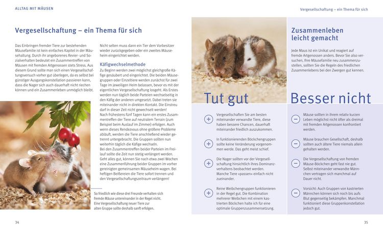 Produktbild: M&auml;use