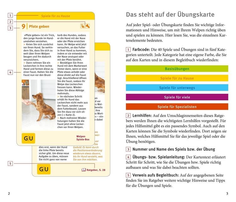 Produktbild: Welpen-Spiele-Box