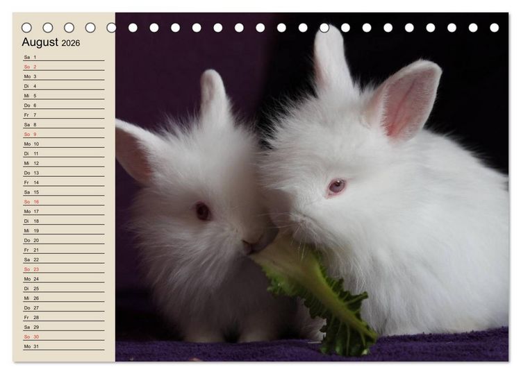 Produktbild: Kaninchen und Hasen (Tischkalender 2026 DIN A5 quer), CALVENDO Monatskalender