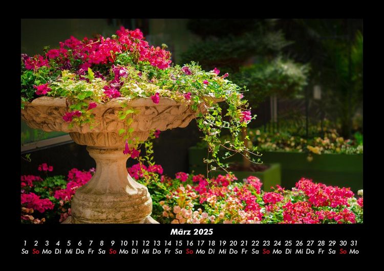 Produktbild: Blumentr&auml;ume 2025 Fotokalender DIN A3