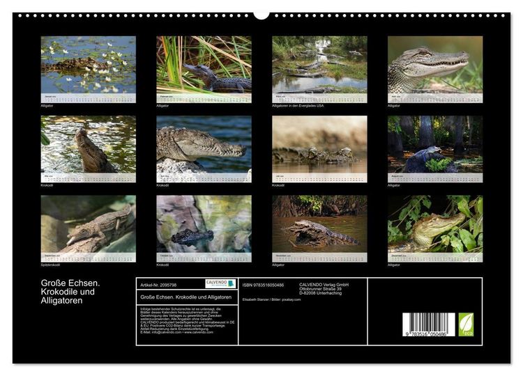 Produktbild: Gro&szlig;e Echsen. Krokodile und Alligatoren (hochwertiger Premium Wandkalender 2026 DIN A2 quer), Kunstdruck in Hochglanz