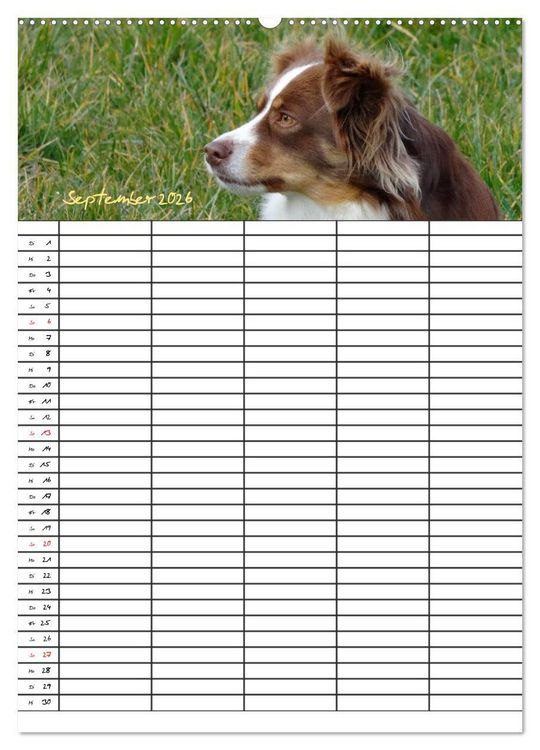 Produktbild: Bauernhoftiere Familienplaner (Wandkalender 2026 DIN A2 hoch), CALVENDO Monatskalender
