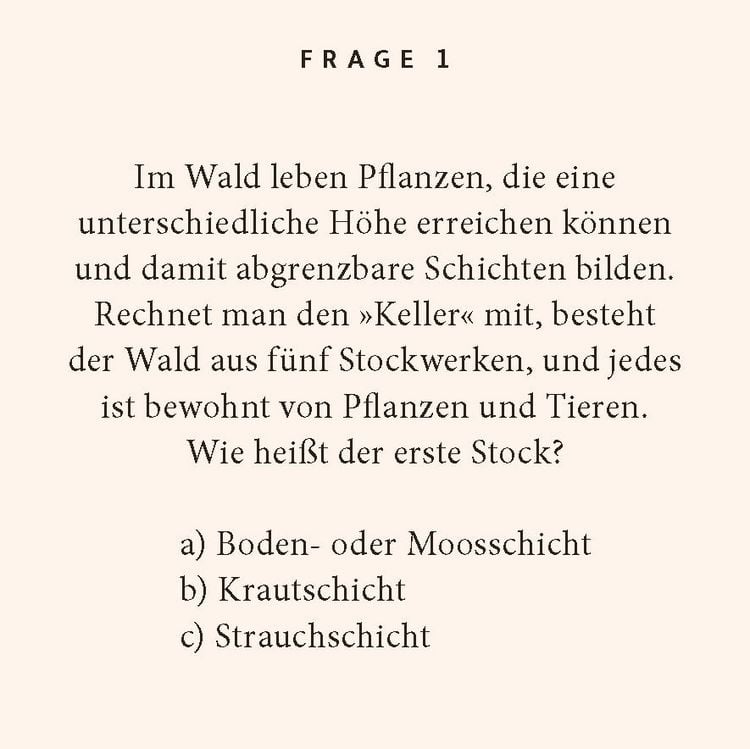 Produktbild: Wald-Quiz