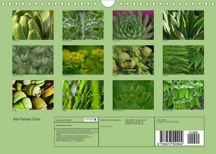 Produktbild: Alle Farben Gr&uuml;n (Wandkalender 2022 DIN A4 quer)