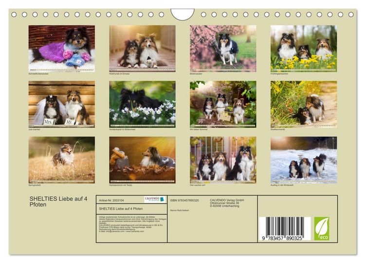 Produktbild: SHELTIES Liebe auf 4 Pfoten (Wandkalender 2026 DIN A4 quer), CALVENDO Monatskalender