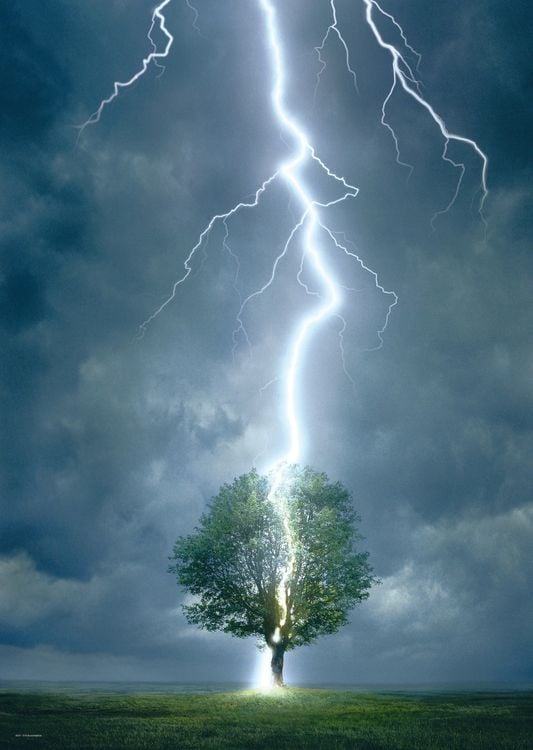 Produktbild: Lighting Striking Tree (Puzzle)