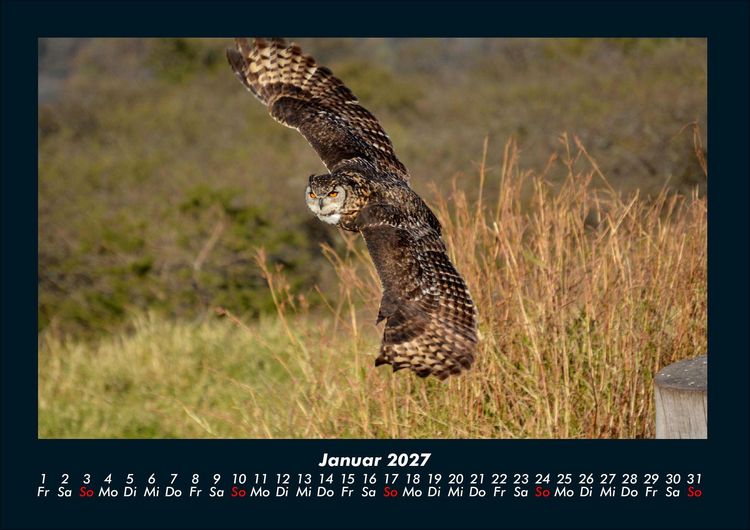 Produktbild: Welt der V&ouml;gel 2027 Fotokalender DIN A4
