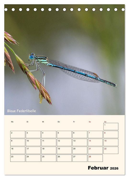 Produktbild: Libellen - Flugk&uuml;nstler in Bayern (Tischkalender 2026 DIN A5 hoch), CALVENDO Monatskalender