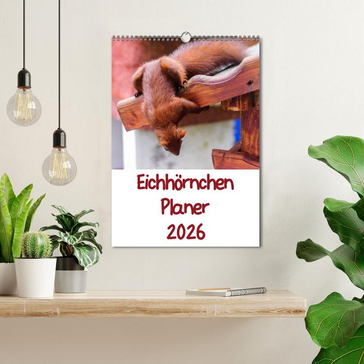 Produktbild: Eichh&ouml;rnchen Planer 2026 (Wandkalender 2026 DIN A3 hoch), CALVENDO Monatskalender