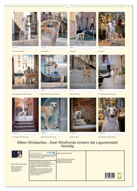 Produktbild: Silken Windsprites - Zwei Windhunde erobern die Lagunenstadt Venedig (Wandkalender 2026 DIN A2 hoch), CALVENDO Monatskalender