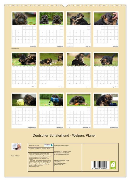 Produktbild: Deutscher Sch&auml;ferhund - Welpen, Planer (hochwertiger Premium Wandkalender 2026 DIN A2 hoch), Kunstdruck in Hochglanz