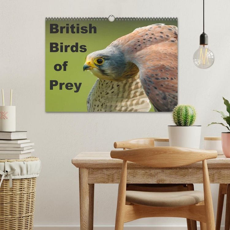 Produktbild: British Birds of Prey (Wall Calendar 2026 DIN A3 landscape), CALVENDO 12 Month Wall Calendar