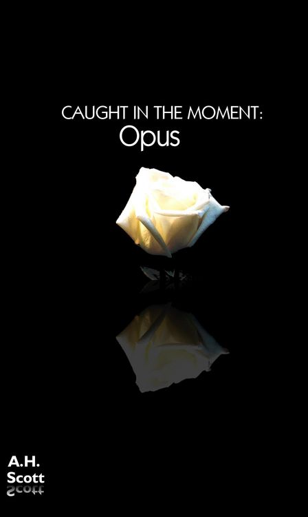 Produktbild: Caught In The Moment: Opus
