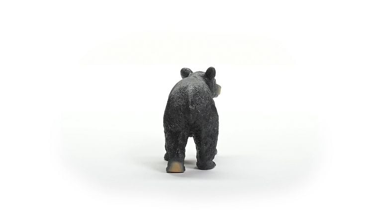 Produktbild: schleich&reg; Wild Life Amerikanischer Schwarzb&auml;r 5,5cm