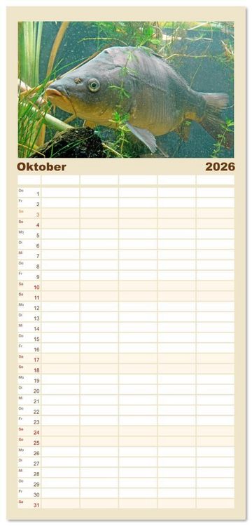 Produktbild: Familienplaner 2026 - Forelle, Hecht und St&ouml;r: Fische in europ&auml;ischen Gew&auml;ssern mit 5 Spalten (Wandkalender, 21 x 45 cm) CALVENDO