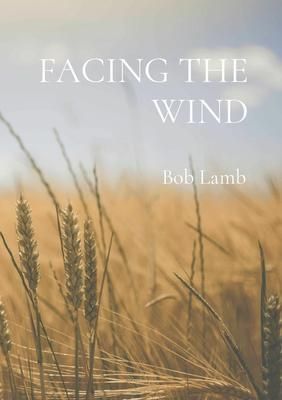 Produktbild: Facing The Wind