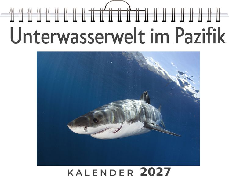 Produktbild: Unterwasserwelt im Pazifik