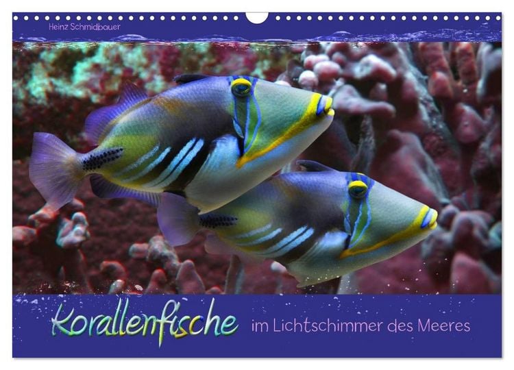 Produktbild: Korallenfische im Lichtschimmer des Meeres (Wandkalender 2027 DIN A3 quer), CALVENDO Monatskalender