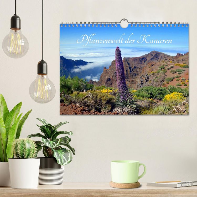 Produktbild: Pflanzenwelt Kanaren (Wandkalender 2026 DIN A4 quer), CALVENDO Monatskalender