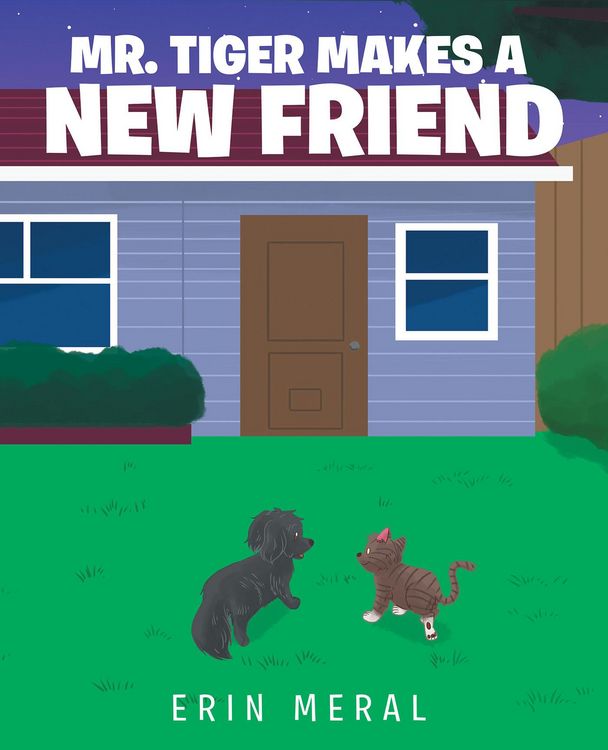 Produktbild: Mr. Tiger Makes a New Friend