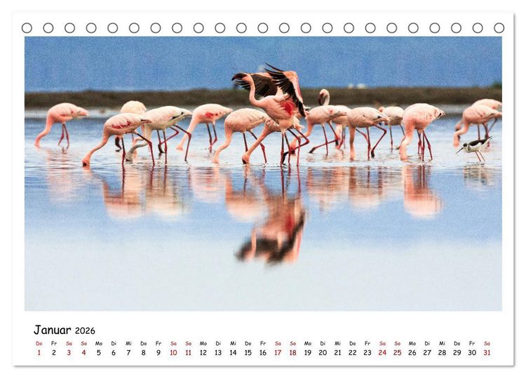 Produktbild: Tierparadies Kenia (Tischkalender 2026 DIN A5 quer), CALVENDO Monatskalender
