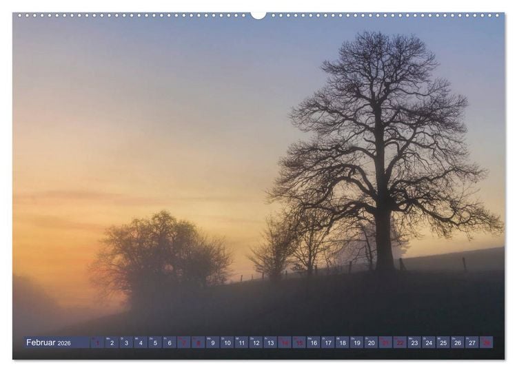 Produktbild: Augenschmaus Pf&auml;lzer Wald (Wandkalender 2026 DIN A2 quer), CALVENDO Monatskalender