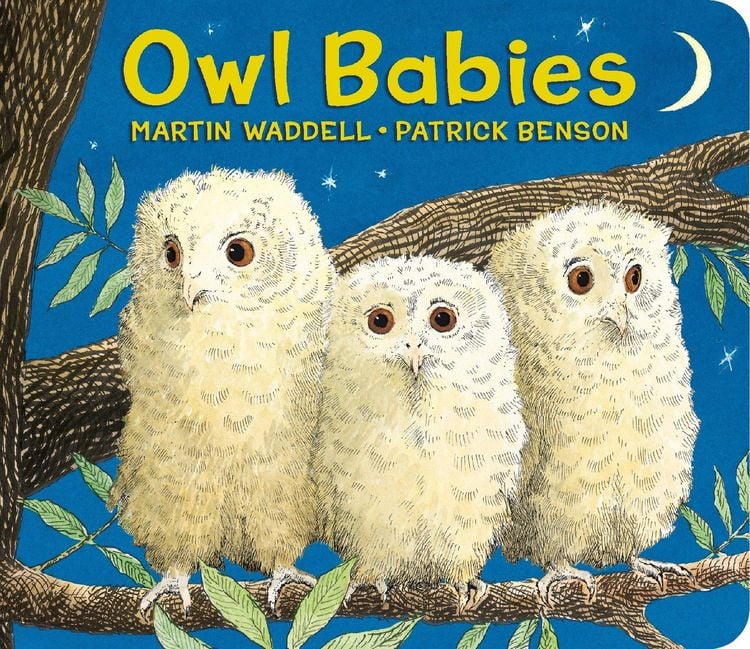 Produktbild: Owl Babies