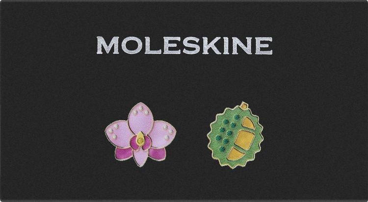 Produktbild: Moleskine Country Pins Singapur (2er-Set), Orchidee+ Durian