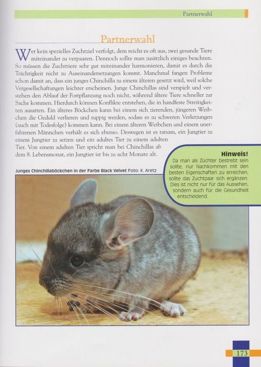 Produktbild: Leben mit Chinchillas