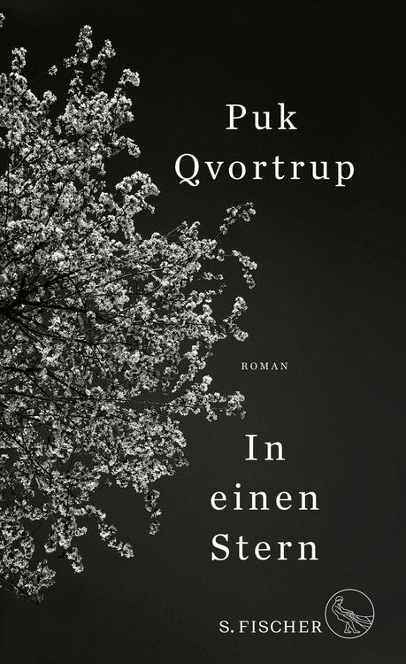 Produktbild: In einen Stern