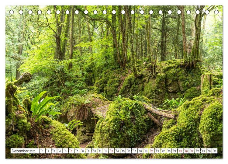 Produktbild: Faszination Naturwunder (Tischkalender 2026 DIN A5 quer), CALVENDO Monatskalender