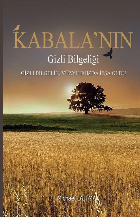 Produktbild: Kabala'n&iquest;n Gizli Bilgeli&iquest;i