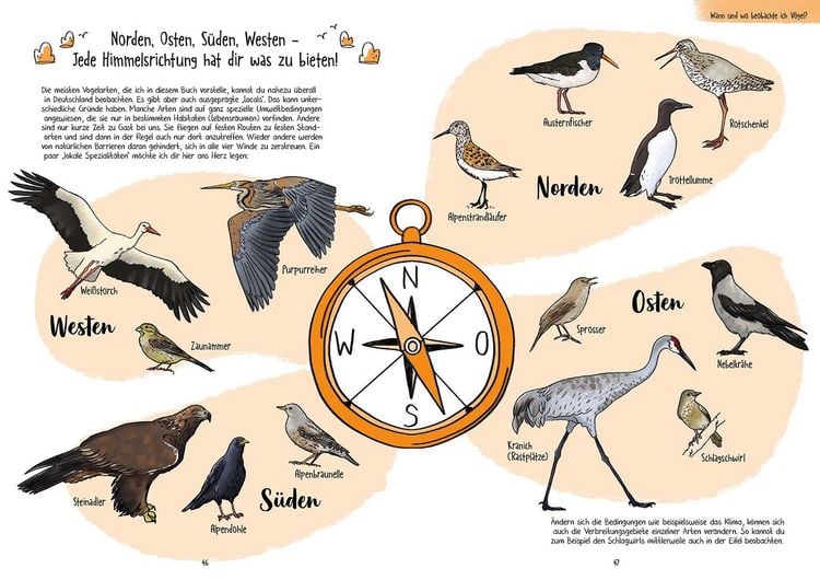 Produktbild: Birding f&uuml;r Ahnungslose