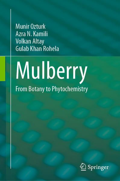 Produktbild: Mulberry