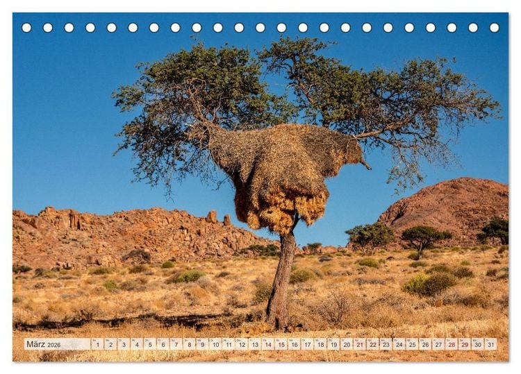 Produktbild: Abenteuerliches Namibia (Tischkalender 2026 DIN A5 quer), CALVENDO Monatskalender