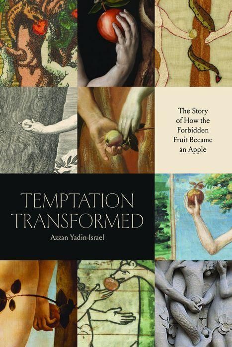 Produktbild: Temptation Transformed