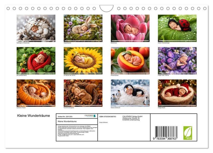 Produktbild: Kleine Wundertr&auml;ume (Wandkalender 2027 DIN A4 quer), CALVENDO Monatskalender