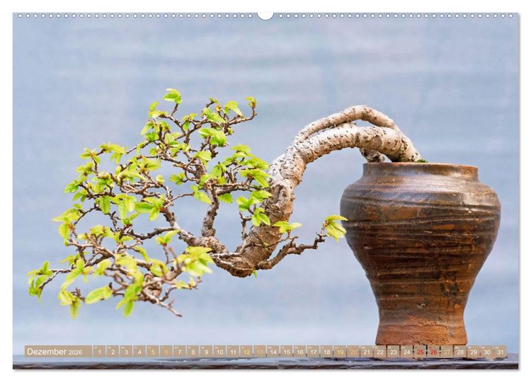 Produktbild: Gartenkunst aus Japan: Bonsai (hochwertiger Premium Wandkalender 2026 DIN A2 quer), Kunstdruck in Hochglanz