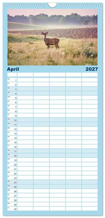 Produktbild: Familienplaner 2027 - Zwischen den Feldern mit 5 Spalten (Wandkalender, 21 x 45 cm) CALVENDO