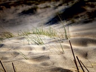 Produktbild: CALVENDO Puzzle Nordsee-D&uuml;nen | 1000 Teile Lege-Gr&ouml;&szlig;e 64x48cm Foto-Puzzle f&uuml;r gl&uuml;ckliche Stunden