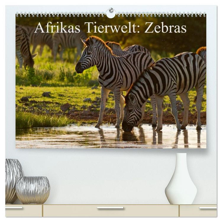 Produktbild: Afrikas Tierwelt: Zebras (hochwertiger Premium Wandkalender 2026 DIN A2 quer), Kunstdruck in Hochglanz