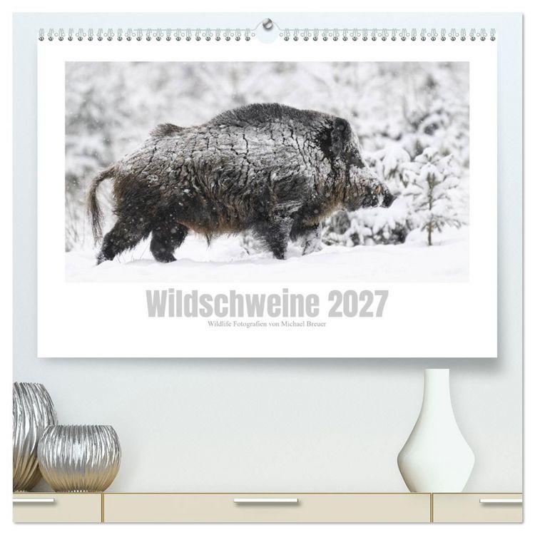 Produktbild: Wildschweine &ndash; Wildlife Fotografien (hochwertiger Premium Wandkalender 2027 DIN A2 quer), Kunstdruck in Hochglanz