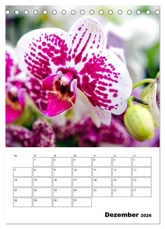 Produktbild: Orchideen - Tropische Sch&ouml;nheiten (Tischkalender 2026 DIN A5 hoch), CALVENDO Monatskalender